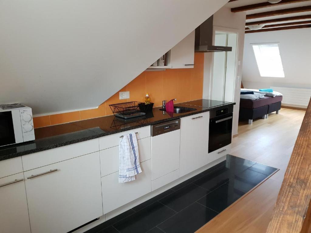 Zuerizimmer Curych